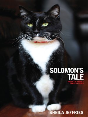 cover image of Solomon's Tale